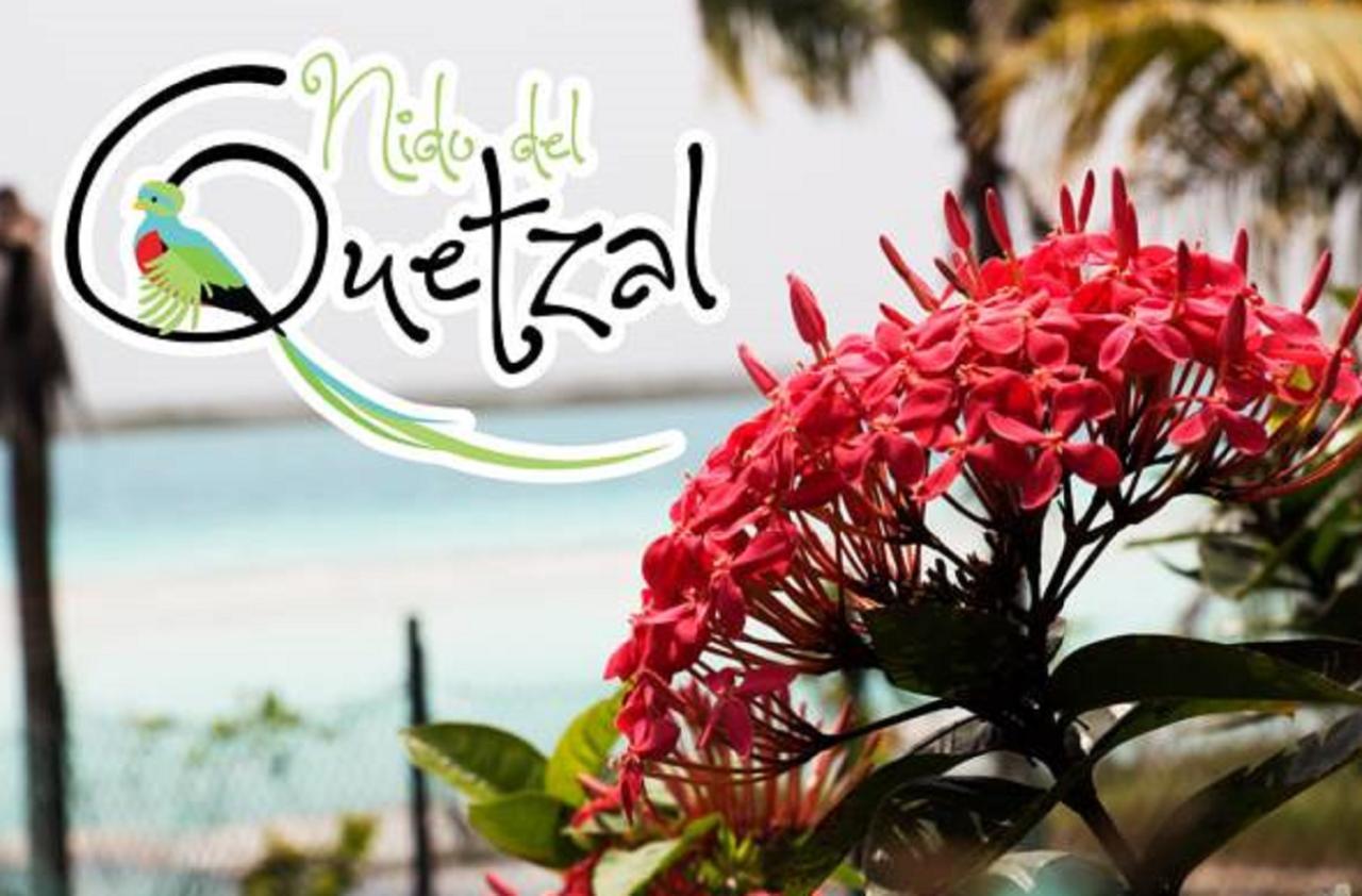 Hotel Nido Del Quetzal Bacalar Exterior foto