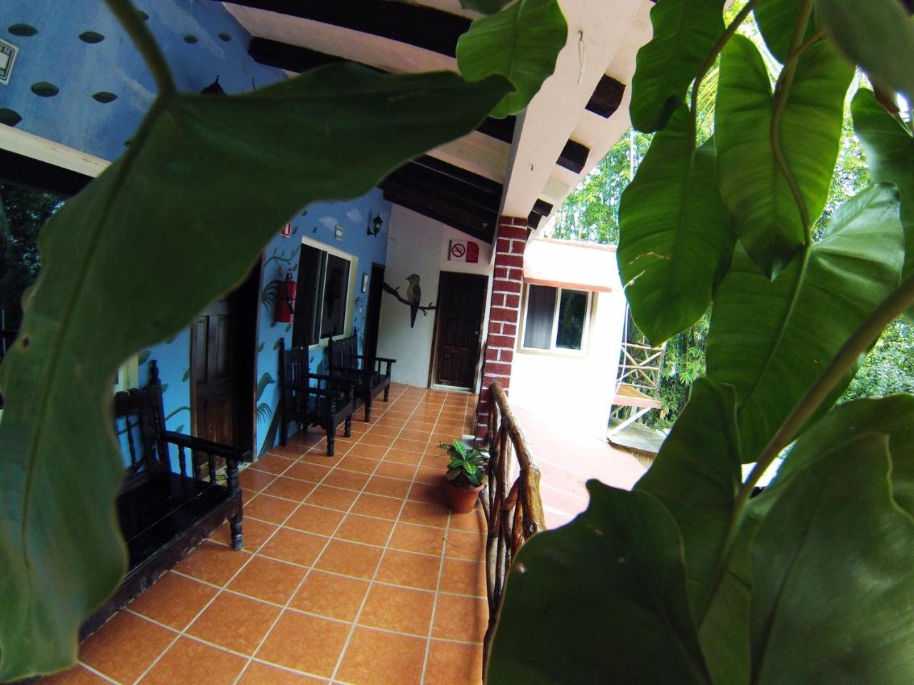 Hotel Nido Del Quetzal Bacalar Exterior foto